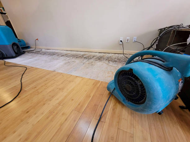 Reliable Basement Flood Cleanup contractor in Evans, WA by Hirex Water Damage