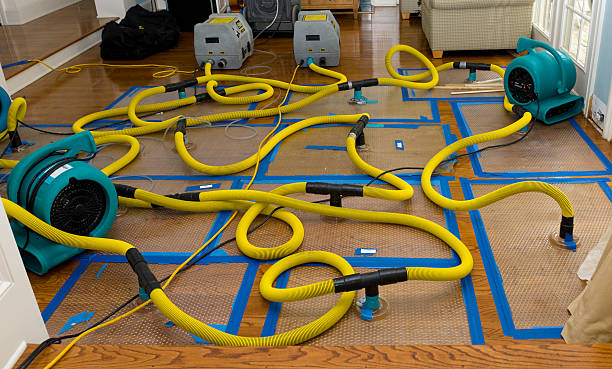 Professional Basement Flood Cleanup technician working in Evans, WA