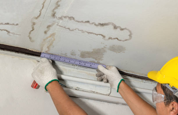 Affordable Water Damage Repair solutions in Evans, WA